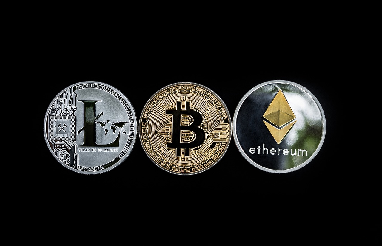 Understanding the Long-Term Viability of Various Cryptocurrencies